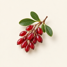 Berberry